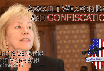 Senator Julie Morrison